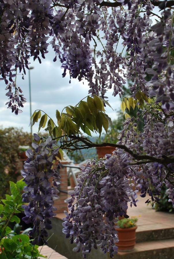 Apartmán Casa Ai Pini Panzano in Chianti Exteriér fotografie
