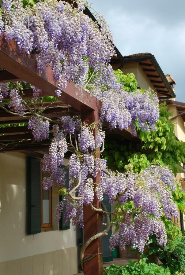 Apartmán Casa Ai Pini Panzano in Chianti Exteriér fotografie